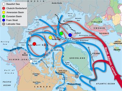 Pathways of Pelagic Connectivity: Eukrohnia hamata (Chaetognatha) in the Arctic Ocean